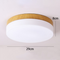 PICO Iron LED Ceiling Light for Living Room, Dining Room & Cafe - Japanese Style