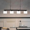 Post Modern Minimalism LED Chandelier Light Rotatable Glass Shade Metal Light  Home Decor