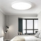 PICARD PMMA Dimmable Ceiling Light for Leisure Area, Living Room & Dining - Modern Style