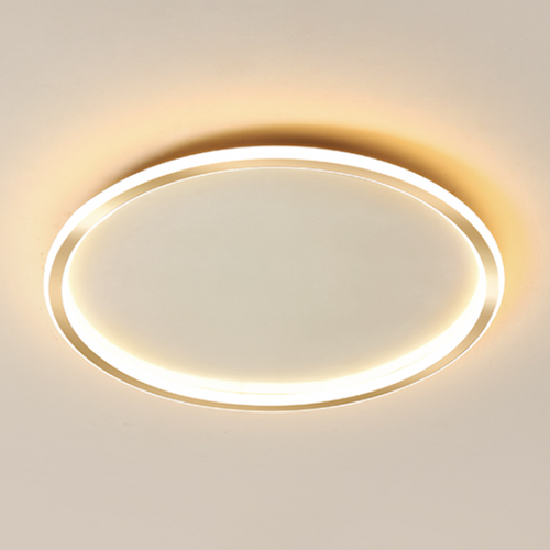 ANNULUS Aluminium PMMA Ceiling Light for Living Room, Bedroom & Dining - Modern Minimalism Style