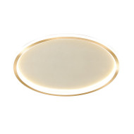 ANNULUS Dimmable Metal Round Ceiling Light for Living Room, Bedroom & Dining - Minimalism Style
