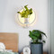  LAURA Metal Wall Light for Living Room, Corridor & Dining - Modern Style