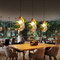 Modern LED Pendant Light Glass Shade Wood Plant Coffee Bar Dining Room Decor from Singapore best online lighting shop horizon lights