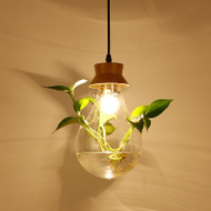 Modern LED Pendant Light Glass Shade Wood Plant Coffee Bar Dining Room Decor