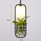 This is the scenic drawing. Urban farming, Pendant Light for Modern and Scandinavian from Singapore best online lighting shop for pendant lamp, horizon lights