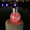 Waterproof LED Outdoor Solar Light Colorful Decorate Park 