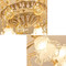 Image 5 Image 5