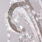 Image 5 Image 5