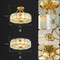 Image 4 Image 4
