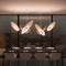 Universe , Acrylic Metal LED Pendant Light for Modern and Nordic