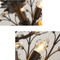Image 5 Image 5