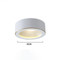 KNOX Copper Ceiling Downlight for Living Room & Retail Shops - Modern Style 