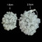 Image 6 Image 6