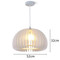 PUMPKIN Acrylic Pendant Light for Living Room, Bedroom, Dining Room & Study - Nordic Style