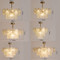 PASADENA Glass Iron Chandelier Light for Living Room, Bedroom & Dining Room - Modern Style