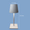 BOWYER Metal Rechargeable Table Lamp for Living Room & Bedroom - Modern Style
