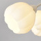 Image 6 Image 6