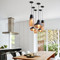 ORSON Glass Pendant Light for Dining Room, Restaurant & Coffee Shop-Scandinavian Style 