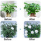 Image 5 Image 5