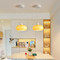 ICHIRO Metal Pendant Light for Living Room, Bedroom & Dining - Japanese Style
