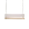 ALEXIS Acrylic Pendant Light for Dining Room & Kitchen Island - Modern Style