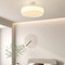 SAGE Dimmable PE Ceiling Light for Living Room & Bedroom - Modern Style