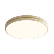 MAGRITTE Eye Protection Iron Ceiling Light for Living Room, Bedroom & Dining Room - French Style