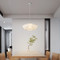 HARA Acrylic Pendant Light for Bedroom, Living & Dining Room - Modern Style