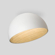 ALTUS Dimmable Iron Ceiling Light for Living Room & Bedroom - Modern Style