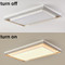 CARL Metal Ceiling Light for Living Room & Bedroom - Nordic Style