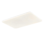 DEUX Acrylic Ceiling Light for Living Room, Bedroom & Study - Modern Style 