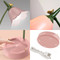 Image 5 Image 5