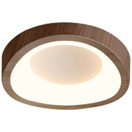 ERIN Metal Ceiling Light for Living Room, Corridor & Study - Modern Style