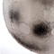 Image 5 Image 5