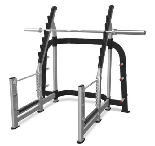 Nautilus Olympic Squat Rack The Fitness Outlet