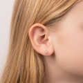 E6327 D for Diamond hot air balloon earrings