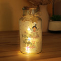 Fairy night light jar with LEDs