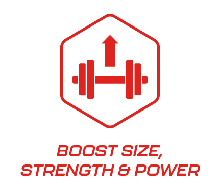 cd-27-0042-vs-creatine-icons-v1-01.jpg