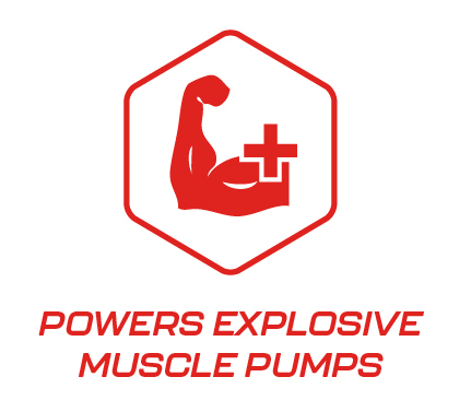 cd-27-0042-vs-creatine-icons-v1-02.jpg