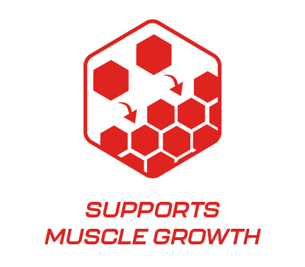 cd-27-0042-vs-creatine-icons-v1-04.jpg