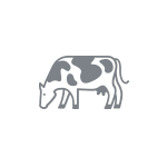 fresh-milk-native.gif fresh-milk-native.gif