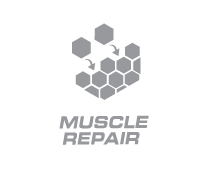 muscle-repair-biolic.gif