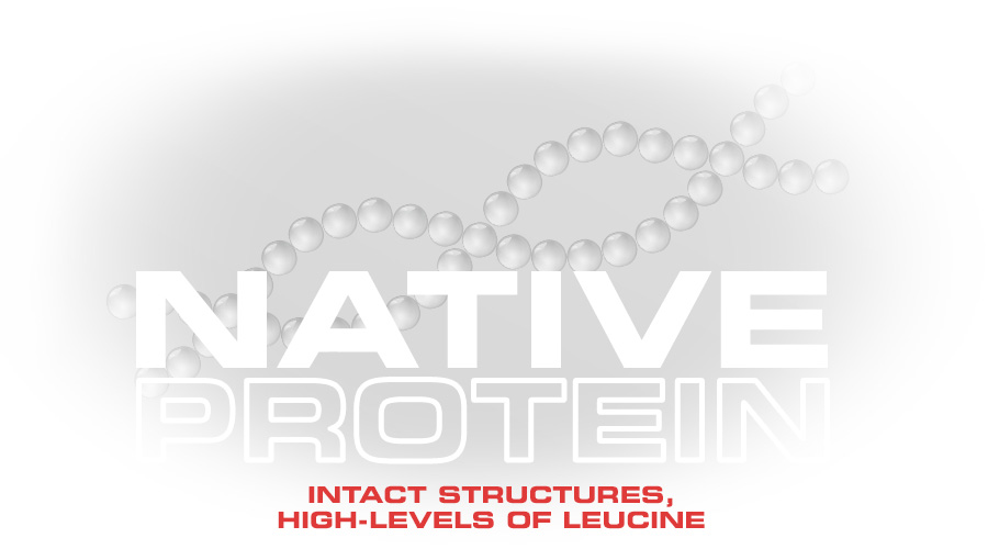 native-protein-structure2.gif