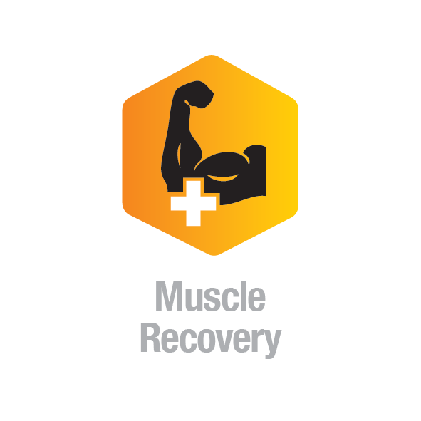 Muscle Recovery