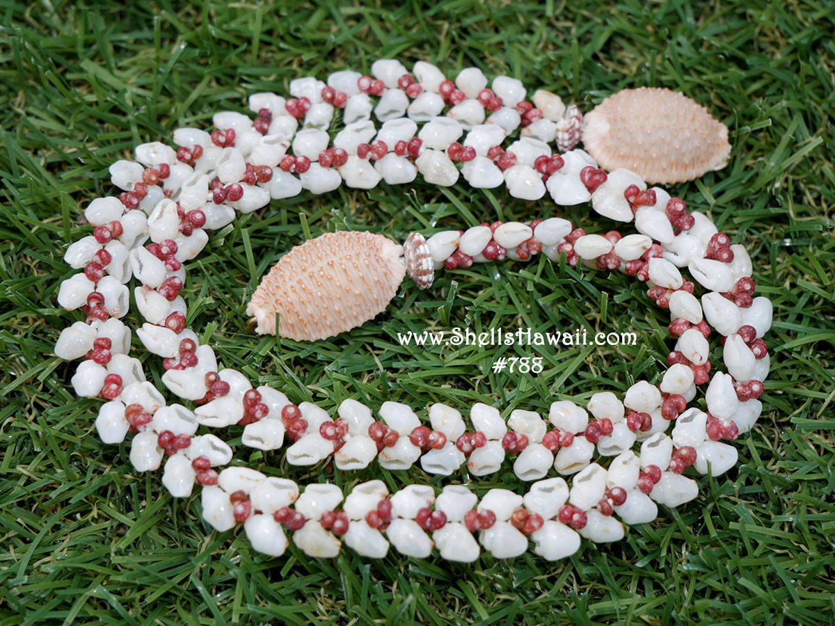Niihau Shell Lei Necklace and Earrings COA - Cynthia's Attic Direct -  Antiques and Collectibles