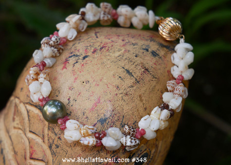 Niihau shell bracelet/Momi & Kahelelani shells #348 - ShellsHawaii
