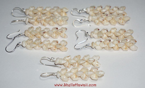 Set of 5 Momi shell earrings 