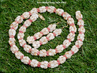20 1/4" Niihau Momi, pink kahelelani shell necklace #902