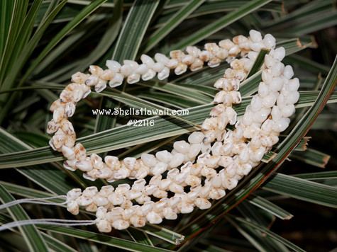 Niihau Shell Leis in Our Gallery | The Gallery of Great Things