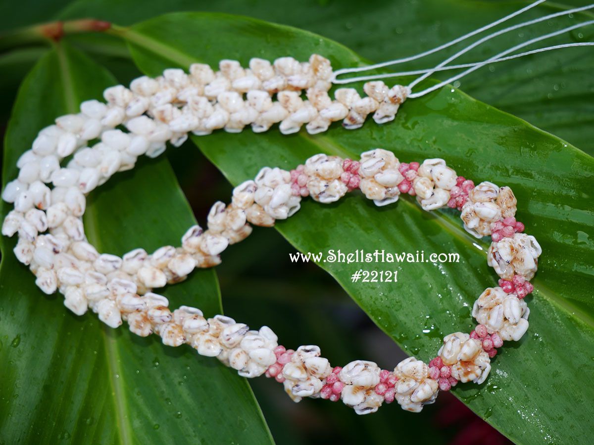 Momi Kahelelani shell necklace Niihau shell necklace lei 22121